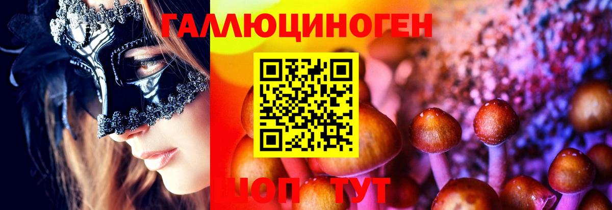 Псилоцибиновые грибы GOLDEN TEACHER Евпатория